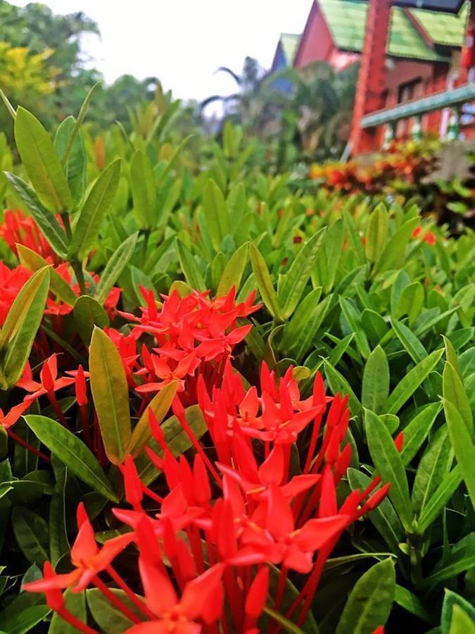 Lanta Queen Resort Ko Lanta Dış mekan fotoğraf