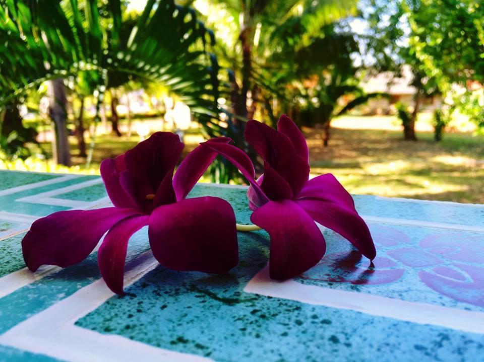 Lanta Queen Resort Ko Lanta Dış mekan fotoğraf