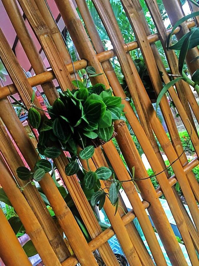 Lanta Queen Resort Ko Lanta Dış mekan fotoğraf